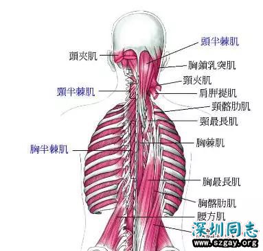 tq46KDnA2148sZX4.jpg